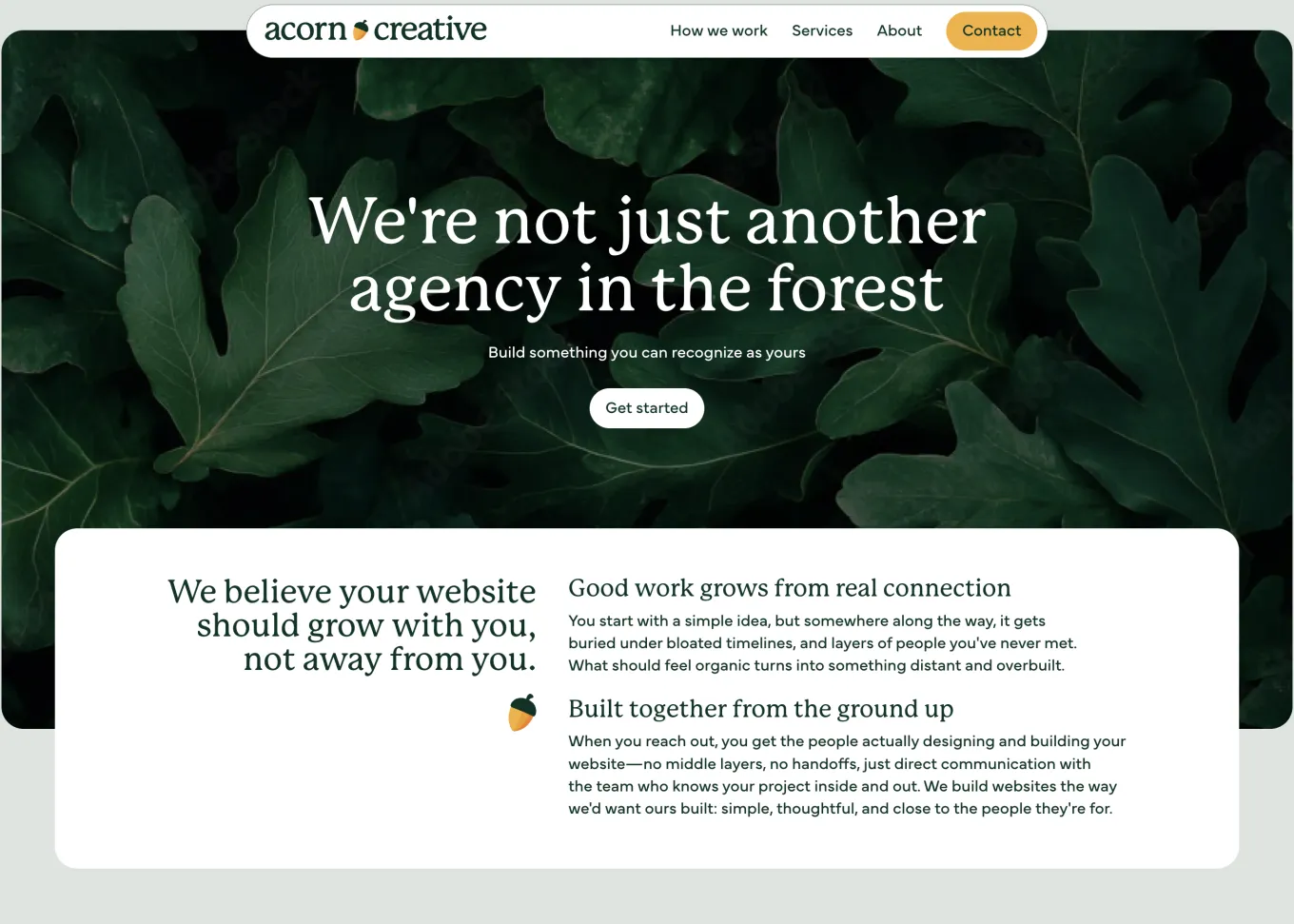 Acorn Creative homepage